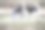 狗，狗，狗，肖像狗图片，不同品种的狗，躺着的狗，玩着的狗，睡觉的狗图片，有趣和美丽的狗图片，流浪狗，饥饿和疲倦的狗，可爱的狗图片下载