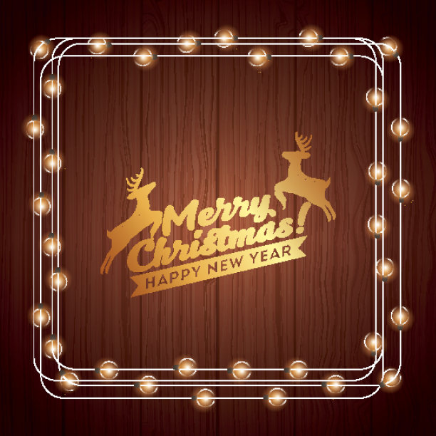 安装圣诞彩灯装饰图片下载