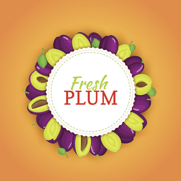 圆圆的框架由成熟的李子和水果组成。矢量插图。图片下载