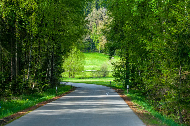 夏天的空旷道路。图像具有复古效果。图片下载