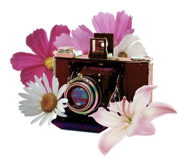 带花的复古相机图片下载