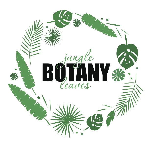 叶子矢量图素材ID：154703548