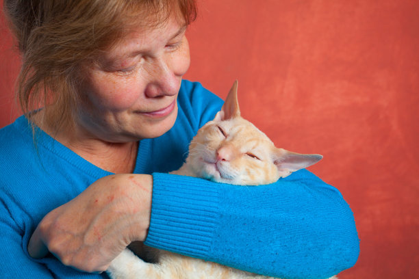 漂亮的卷毛猫图片下载