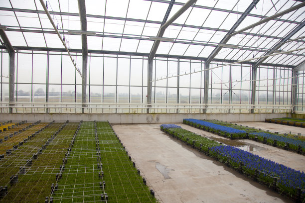 鲜花玻璃屋图片下载