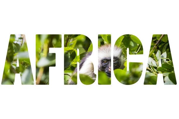 把非洲比作野生动物。图片下载