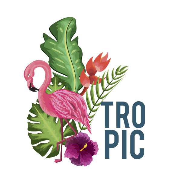 美丽可爱的花植物与火烈鸟的背景图片下载