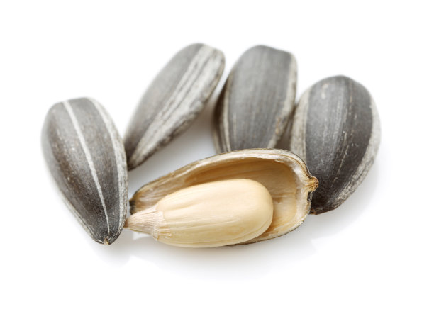 葵花籽孤立在白色上图片下载