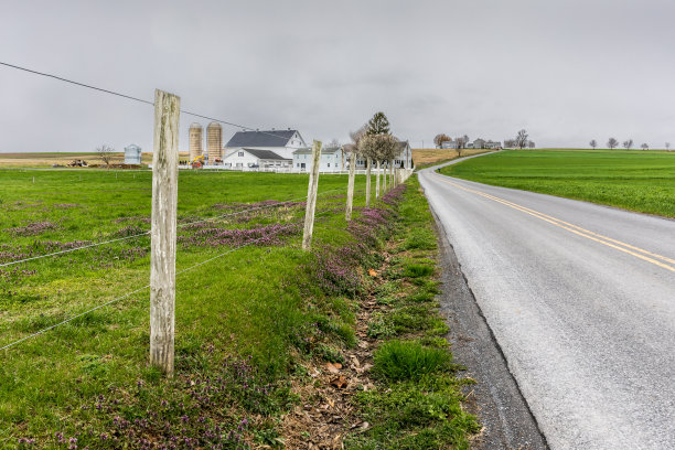 兰开斯特路图片下载