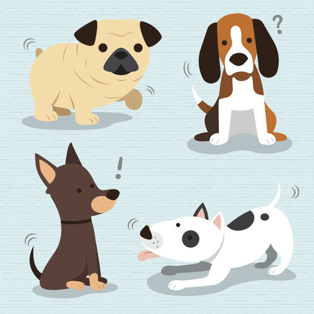 可爱的狗品种图片下载