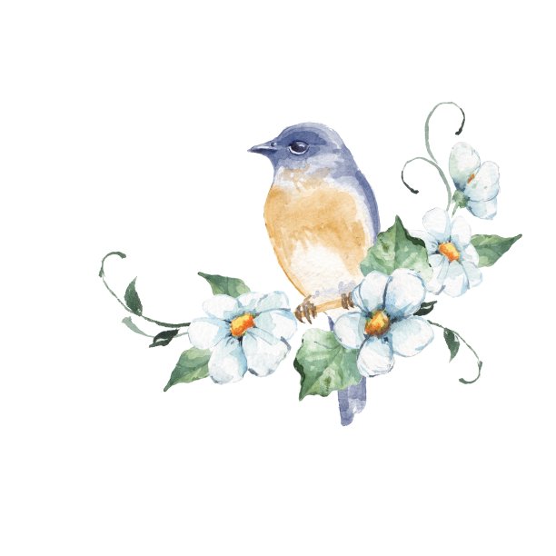 花鸟插画素材ID：154738528