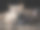 温和的图片素材ID：154741756