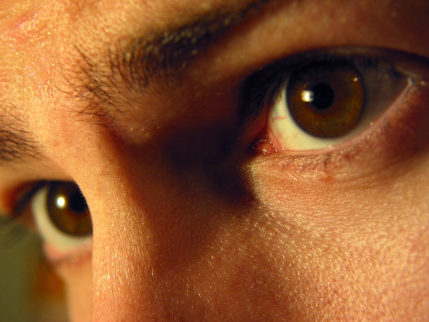 眼睛盯着图片下载