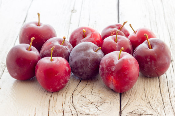 红李子图片下载