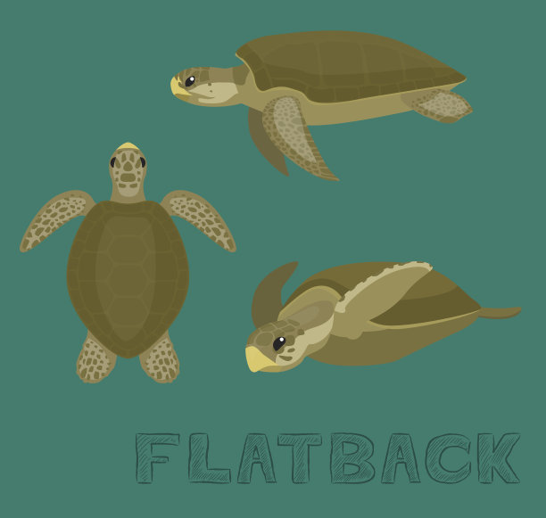 海龟平背卡通矢量插图图片下载