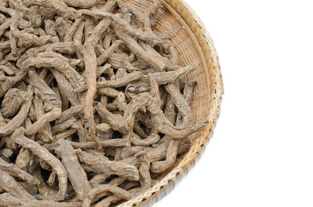 泰国草药学名当归(Oliv.)一昼夜的、当归polymorpha格言。伞形科var. sinensis摘要素材图片