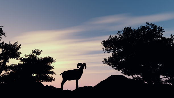 摩弗伦羊轮廓图片下载