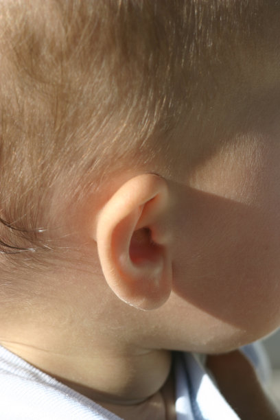 宝宝的耳朵图片下载