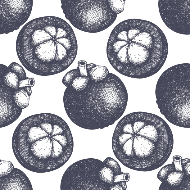 山竹果fruit_pattern_2图片下载