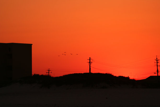 鸟儿飞向夕阳图片下载