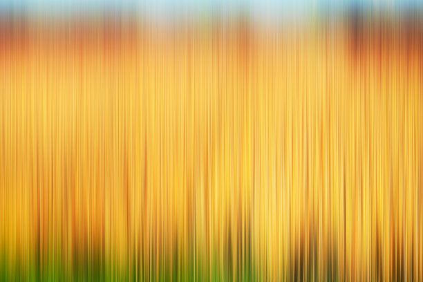 基于模糊景观图像的迷幻背景图片下载