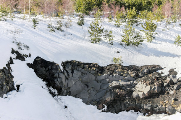 埃特纳山上覆盖着植物图片下载
