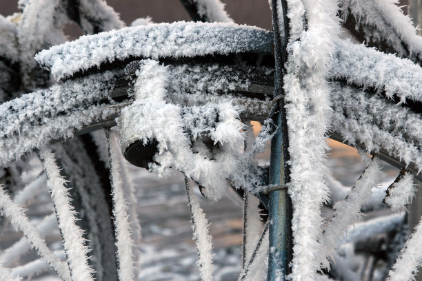 自行车在雪2图片下载