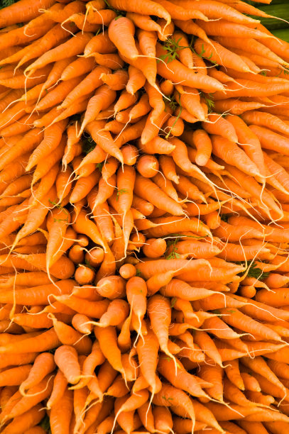 胡萝卜杂烩-蔬菜背景图片下载