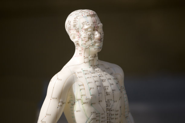 针灸假图片下载