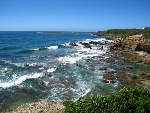 海滩上的岩石摇动着绿树图片下载