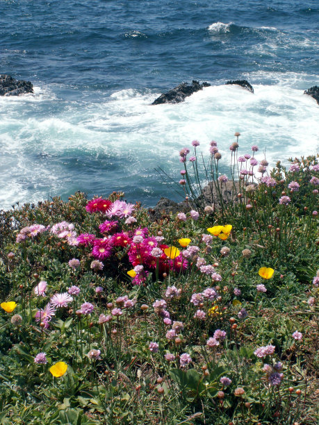 门多西诺的海鲜牛排店图片下载