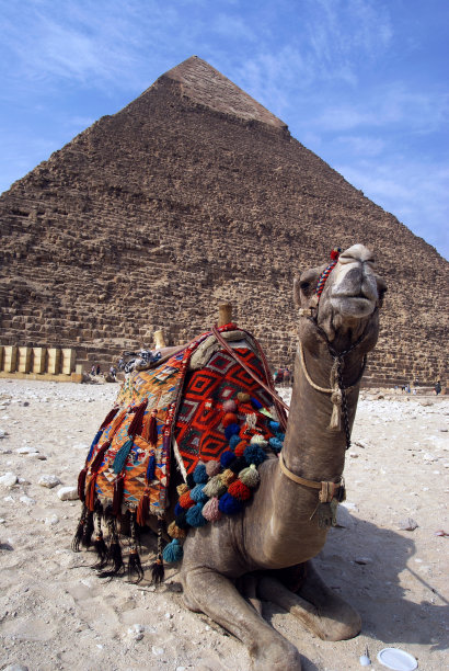 埃及金字塔图片下载