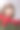 美丽的中国女人和红玫瑰图片下载