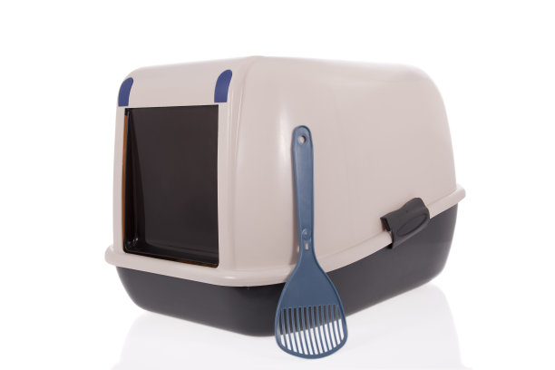 封闭式猫砂盒与勺孤立白色图片下载