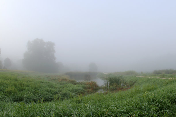 夏日清晨的薄雾笼罩着田野。图片下载