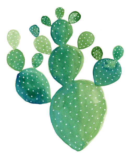 水彩仙人掌绘画。仙人掌属植物垫仙人掌。图片下载