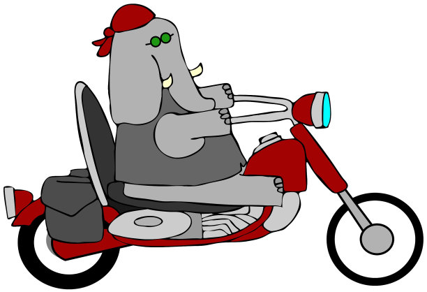 大象骑士图片下载