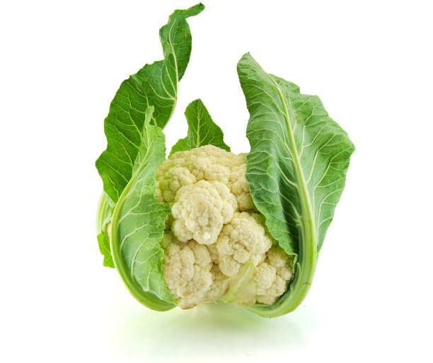 新鲜的花椰菜图片下载