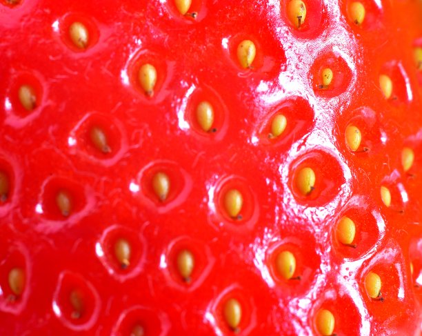 红草莓的质地图片下载