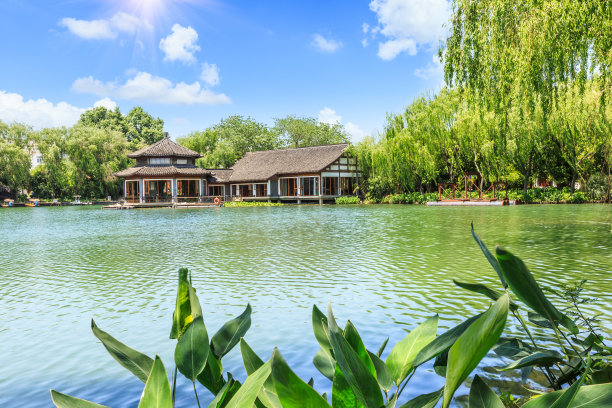 美丽的杭州西湖花园，中国的夏天图片下载