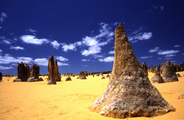 尖顶西澳大利亚女巫帽图片下载