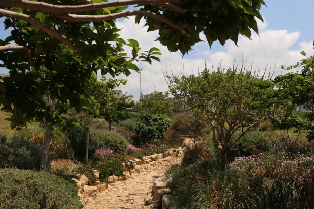 照片是在以色列海法拍摄的。模特就是我，瓦伦丁·刘易斯。我是一个时尚和美容博主。图片下载