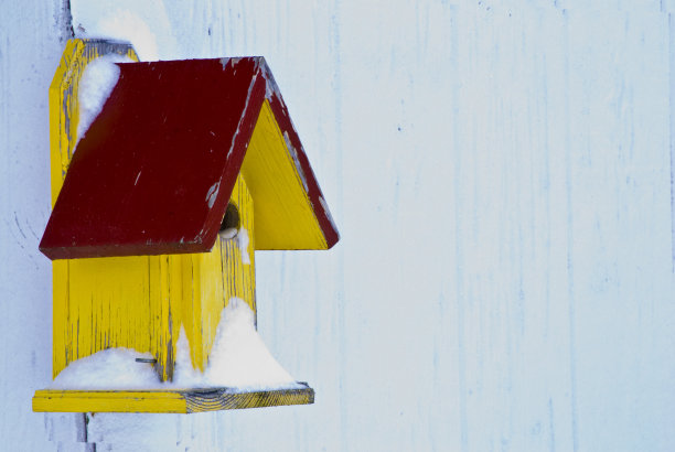 鸟的房子图片下载