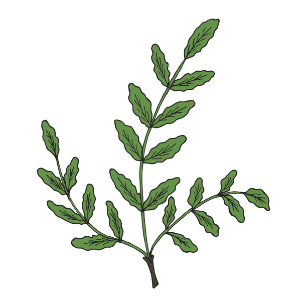 Boswellia颜色图片下载