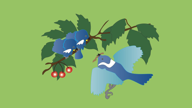 一只鸟和它的两只小鸡。图片下载