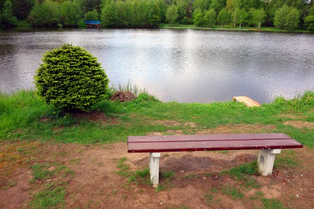 池塘边孤独的长凳图片下载