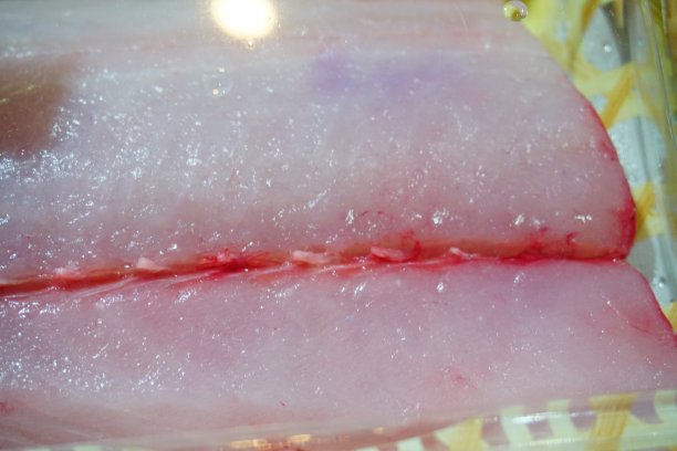 猫鱼文件图片下载