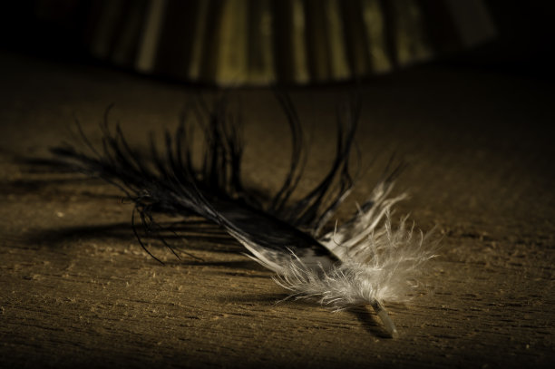 的Featehr图片下载