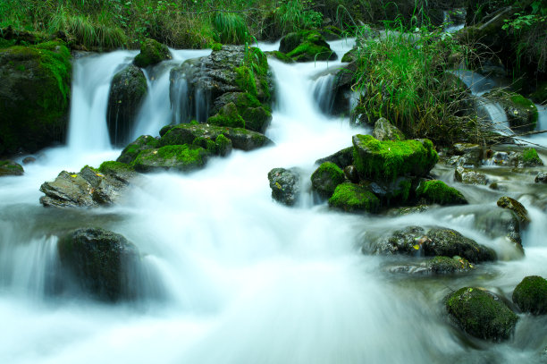 森林中的小溪图片下载