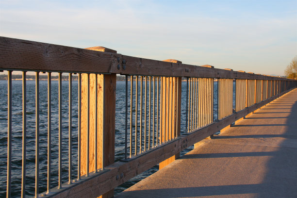 泰勒·达克，贝灵汉，瓦图片下载