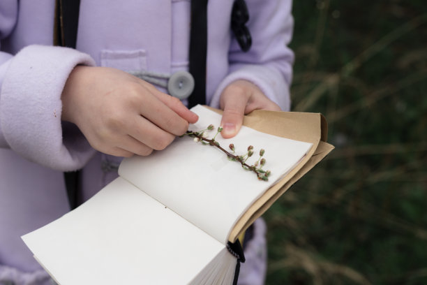 女孩的手拿着笔记本，将标本附在她的植物标本室的细节。图片下载